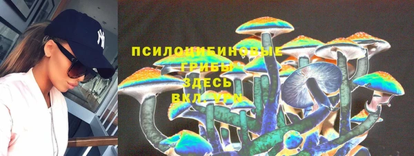 mdpv Верхний Тагил