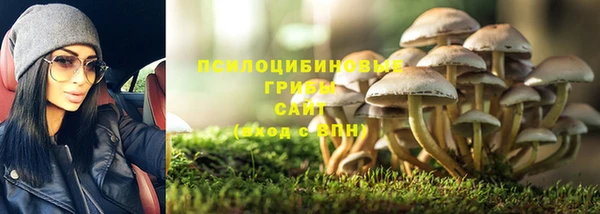 mdpv Верхний Тагил