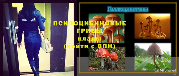 jwh Верея