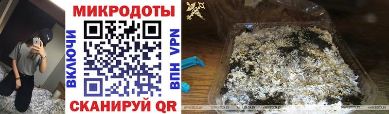 Галлюциногенные грибы GOLDEN TEACHER Купить закладки Курчатов